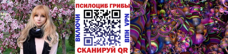 Псилоцибиновые грибы прущие грибы  Северобайкальск 