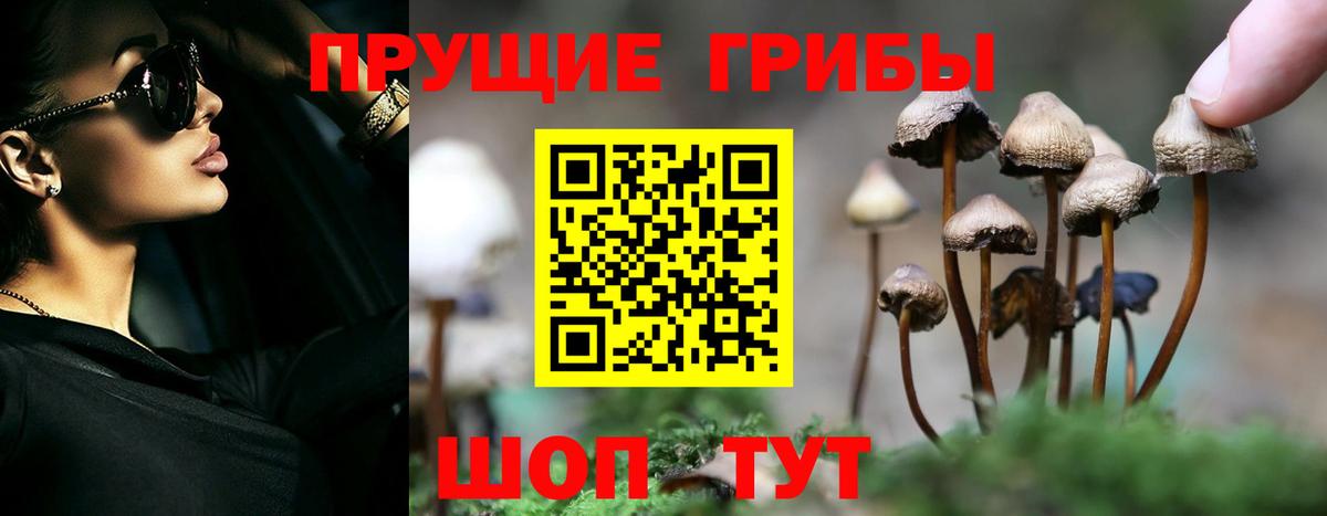 Псилоцибиновые грибы прущие грибы Северобайкальск